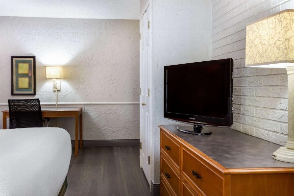 La Quinta Inn & Suites by Wyndham Tampa Bay Airport image 6